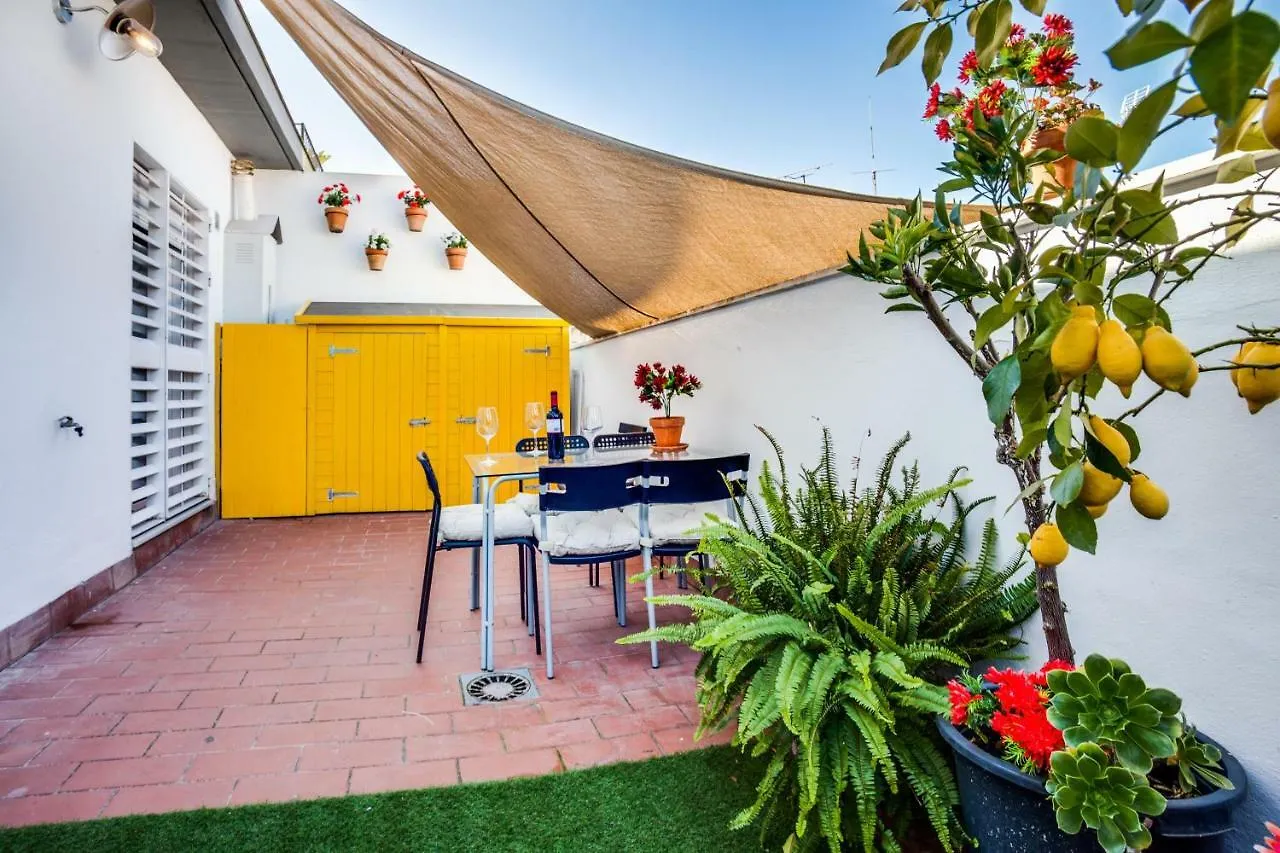 Encantador Ático y Terraza VFT/SE/02858 Sevilla